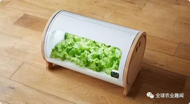 BOB半岛农业黑科技！家里就能种菜 用手机操控 不施农药化肥(图4)